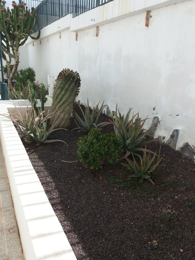 לינה וארוחת בוקר קוסטה דל סילנסיו Maison Chayofita Tenerife מראה חיצוני תמונה